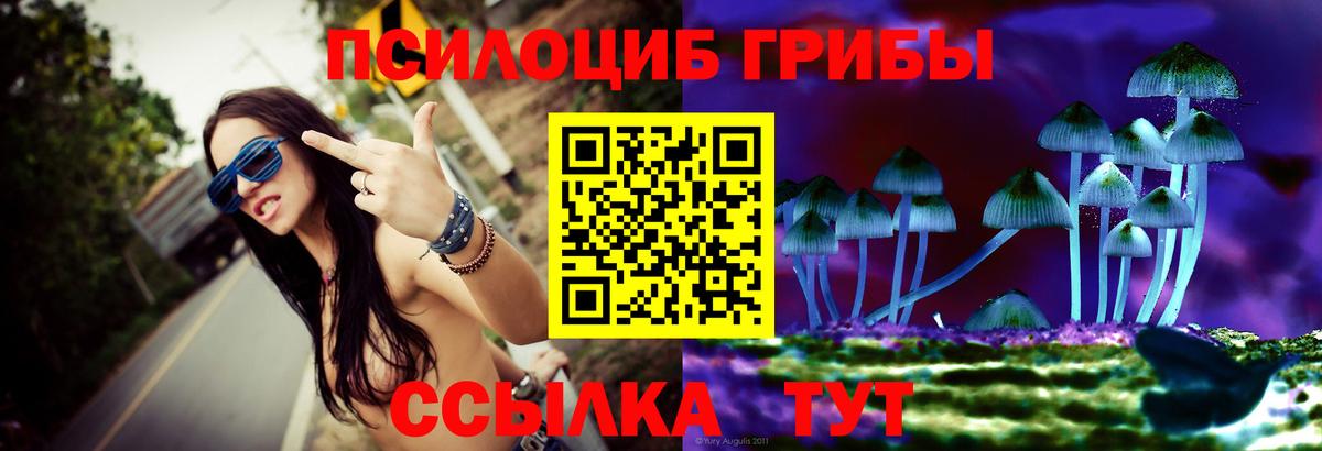 Псилоцибиновые грибы Psilocybine cubensis Грязи